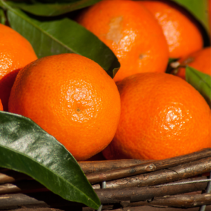 MANDARINA