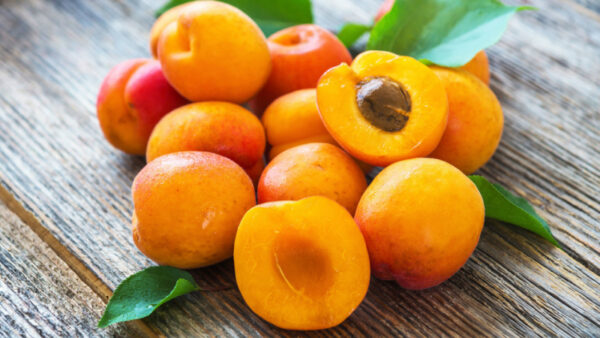 ALBARICOQUES