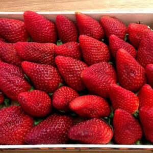 Fresas sin hojas.