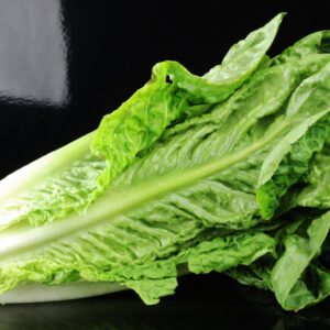 Lechugas